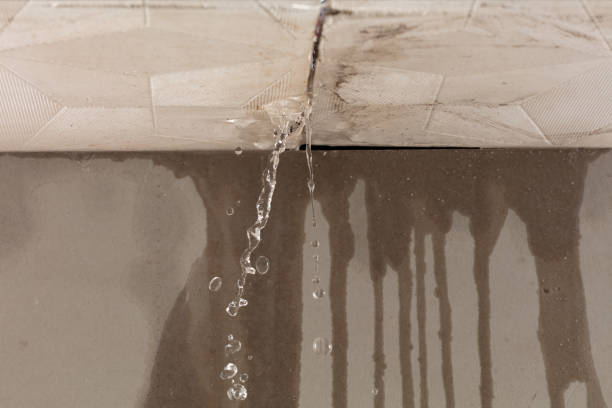 Professional Burst Pipe Cleanup technician working in Dassel, MN